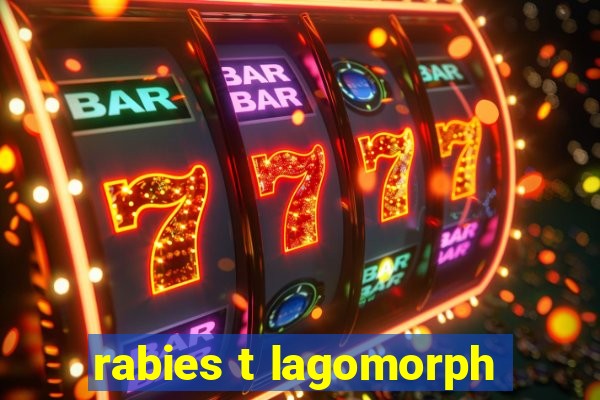 rabies t lagomorph