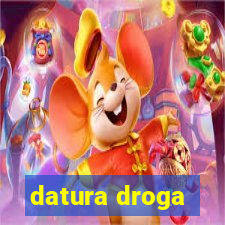 datura droga
