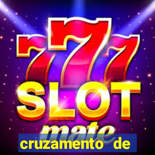 cruzamento de cavalo com mula