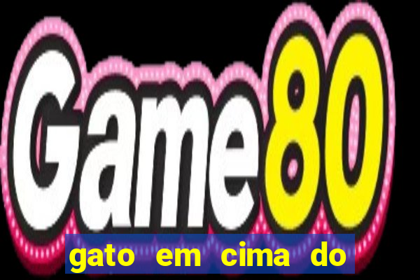 gato em cima do telhado significado espiritual