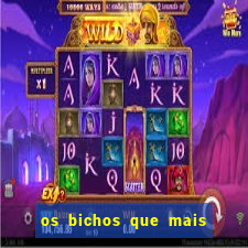 os bichos que mais saem na loteria federal