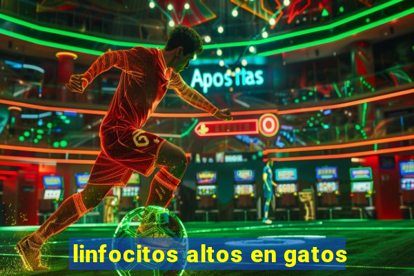 linfocitos altos en gatos