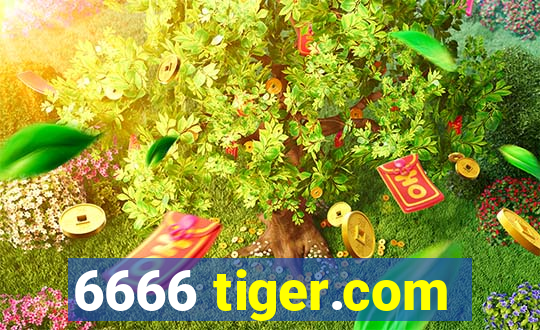 6666 tiger.com