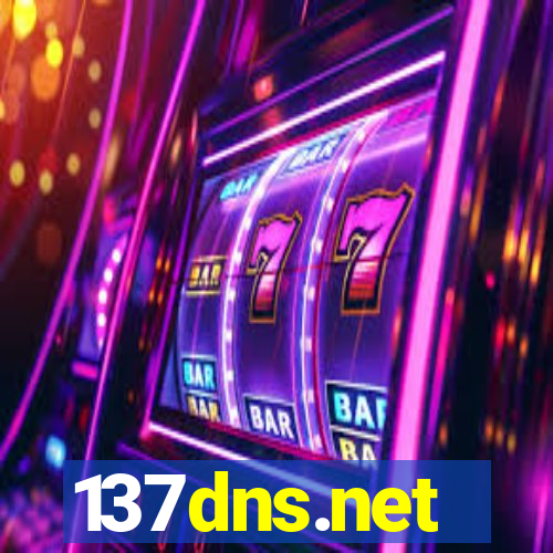 137dns.net