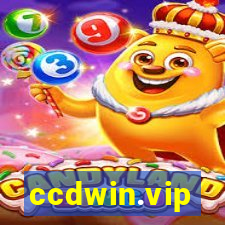 ccdwin.vip