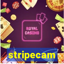 stripecam