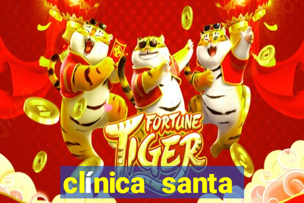 clínica santa marcelina santos