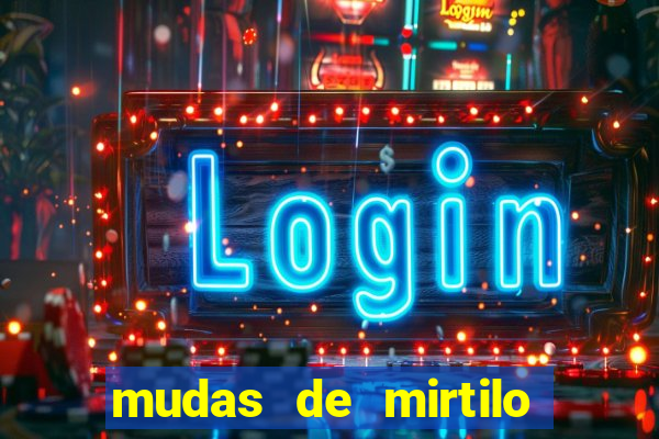 mudas de mirtilo em porto alegre