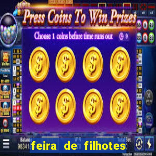 feira de filhotes porto alegre
