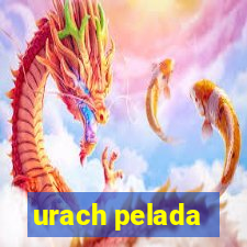 urach pelada