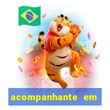 acompanhante em paulo afonso