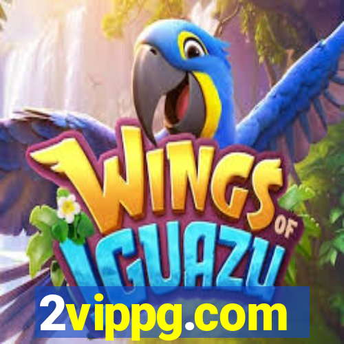 2vippg.com