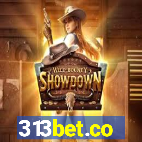 313bet.co