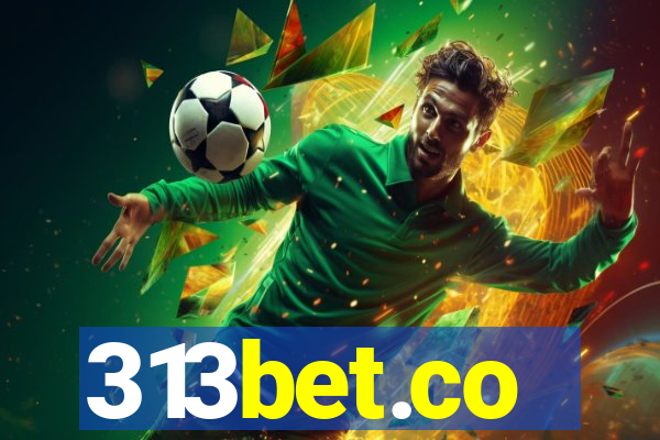 313bet.co