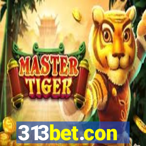 313bet.con