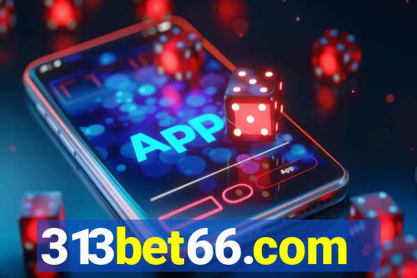 313bet66.com
