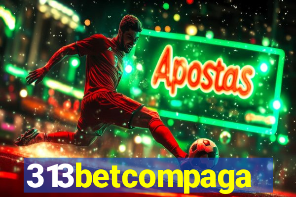 313betcompaga