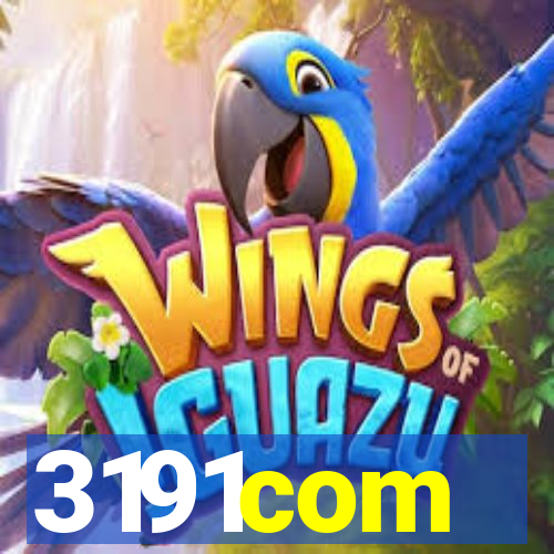 3191com