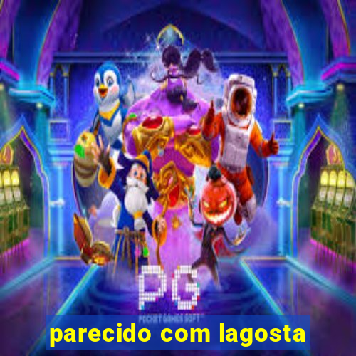 parecido com lagosta