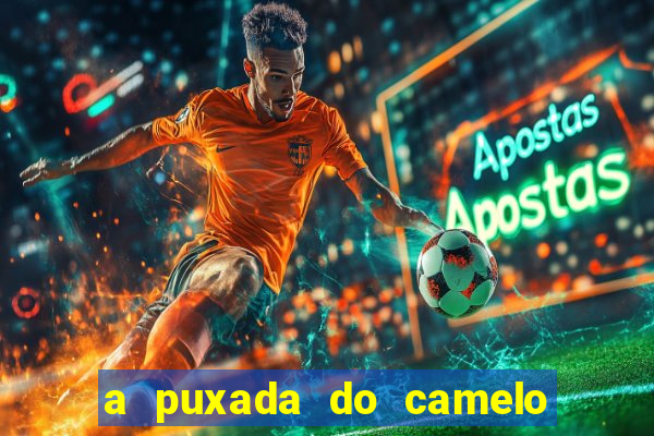 a puxada do camelo no jogo do bicho