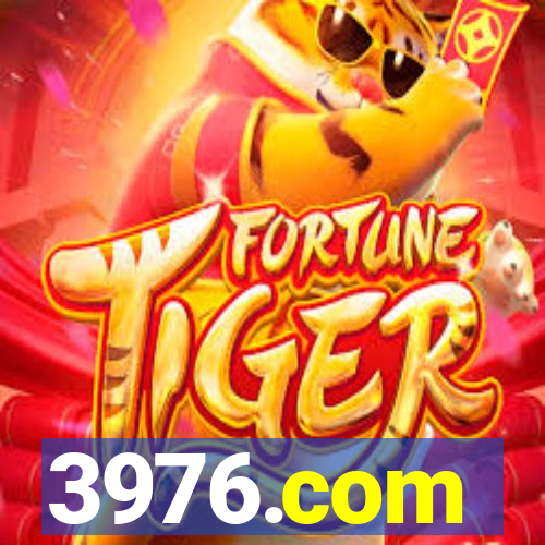 3976.com