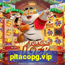 pitacopg.vip
