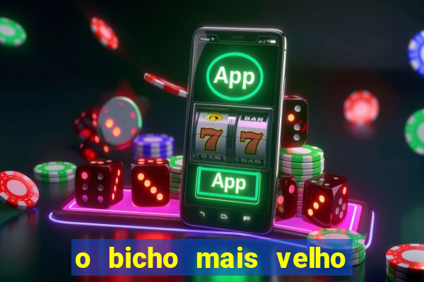 o bicho mais velho da loteria dos sonhos