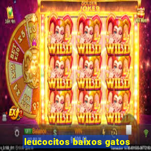 leucocitos baixos gatos