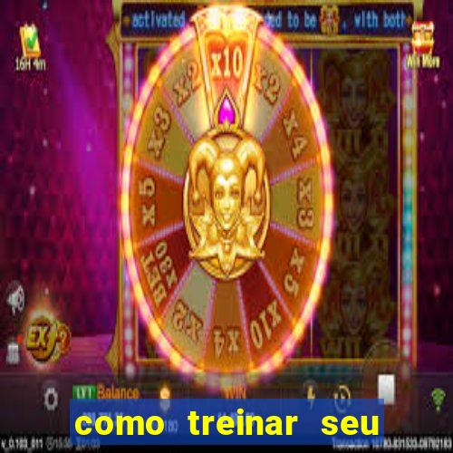 como treinar seu dragão especial de natal assistir