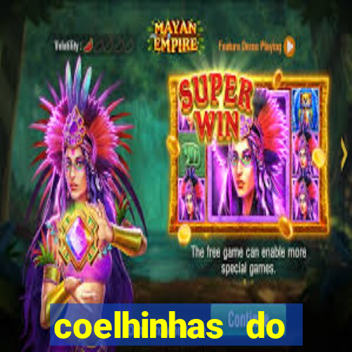 coelhinhas do brasil recife