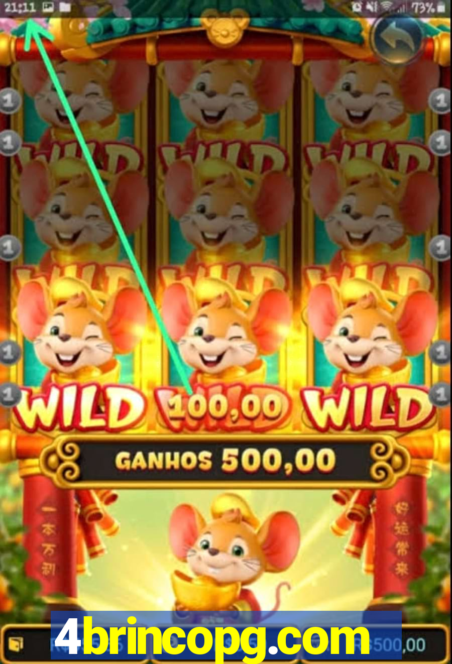 4brincopg.com