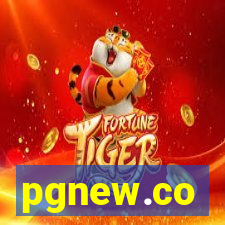pgnew.co
