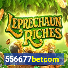 556677betcom