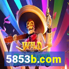 5853b.com