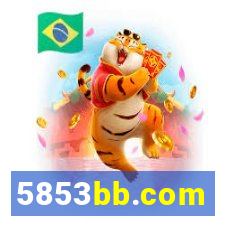 5853bb.com
