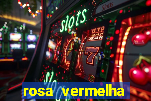 rosa vermelha (letra e cifra)