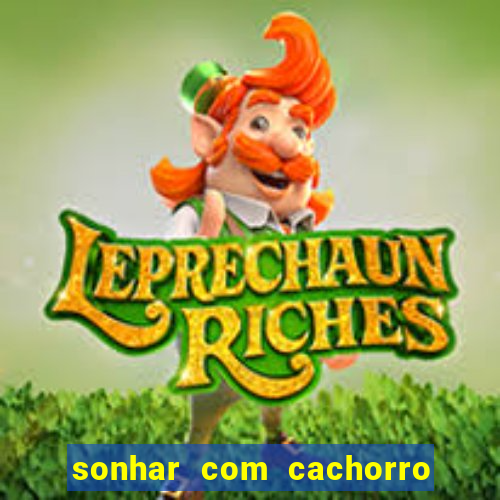 sonhar com cachorro cruzando jogo do bicho
