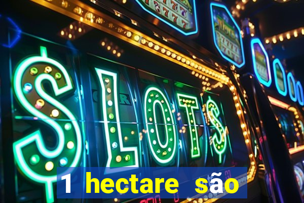 1 hectare são quantas tarefas na bahia