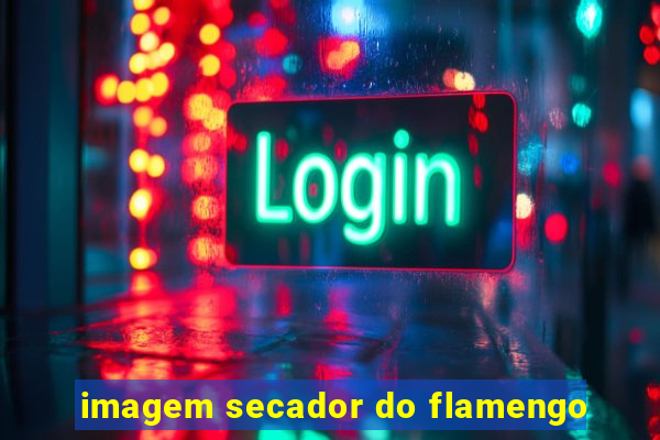 imagem secador do flamengo