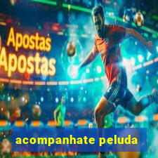 acompanhate peluda