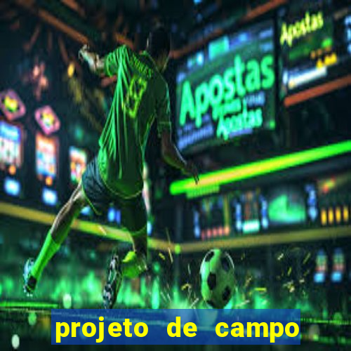 projeto de campo de futebol em cad