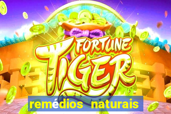 remédios naturais para diabetes
