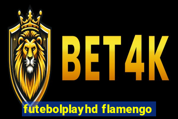 futebolplayhd flamengo