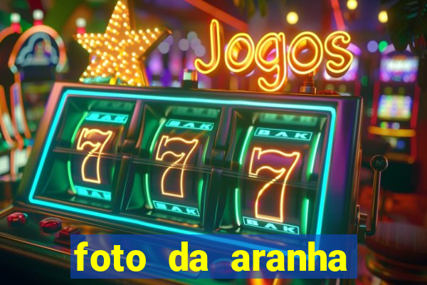foto da aranha mais feia do mundo
