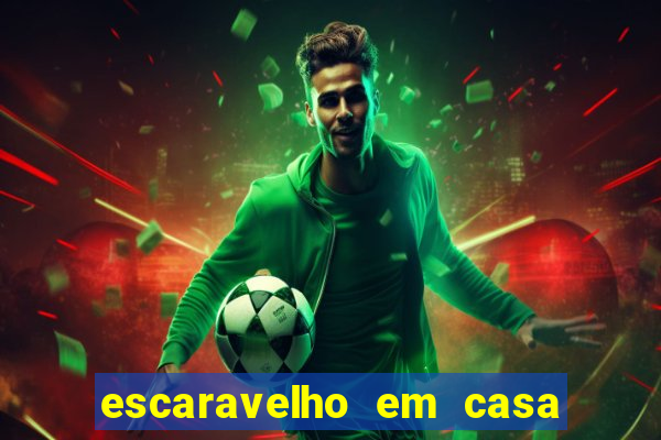 escaravelho em casa significado espiritual