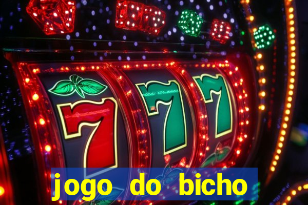 jogo do bicho tipos de apostas