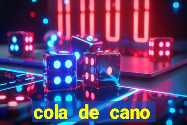 cola de cano quanto tempo para secar