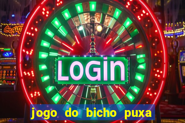 jogo do bicho puxa de dona maria