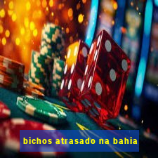 bichos atrasado na bahia