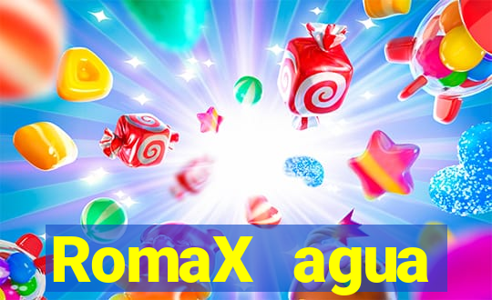 RomaX agua sanitaria fispq agua sanitaria romax